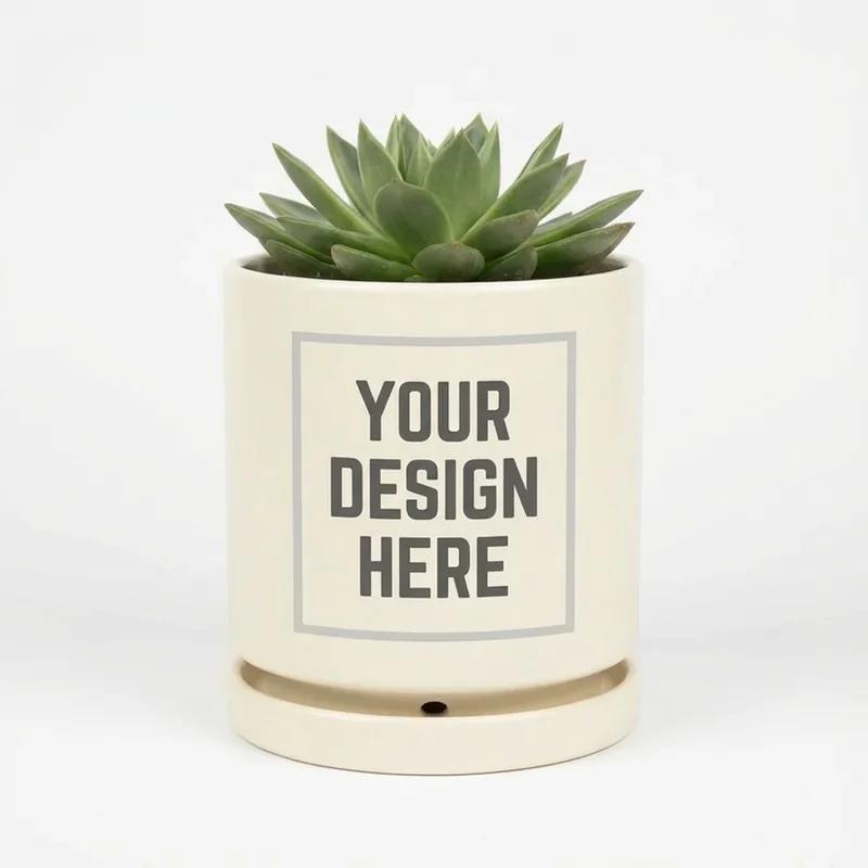 Ceramic Plant Pot 6" thumb 2