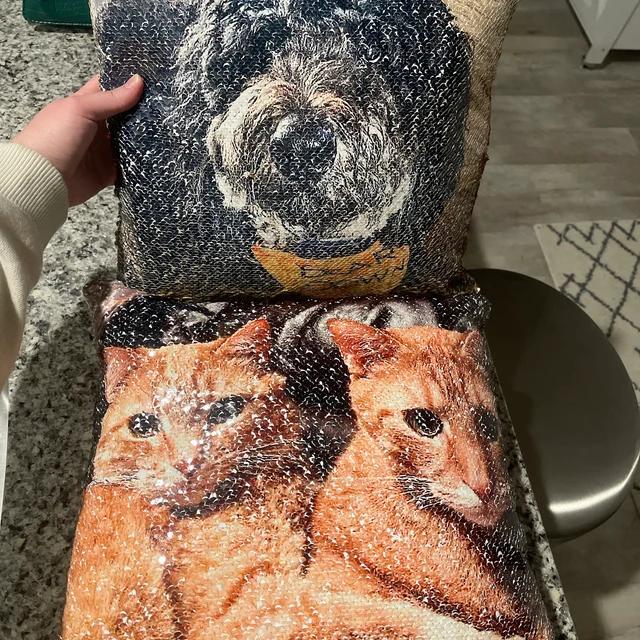 Qstomize.com - Personalize Your Pillow with Custom Reversible Sequin Design Charming pet-themed throw pillows featuring a dog and orange tabby cats on a metal stool.