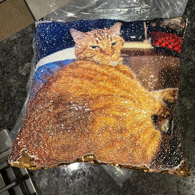 Qstomize.com - Personalize Your Pillow with Custom Reversible Sequin Design Charming orange tabby cat pillow perfect for cozy home decor and cat lovers.